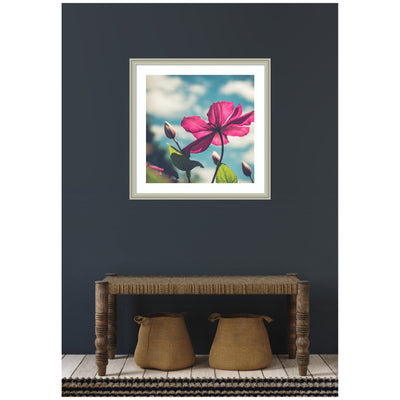 Framed Art Flower in the Sky by Stephanie Klatt