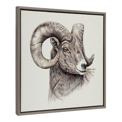Sylvie Ram Framed Canvas by Ron Dunn