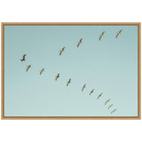 A framed canvas showing a diagonal flock of pelicans flying against a clear pale blue sky, with warm tones highlighting their wings and bodies.