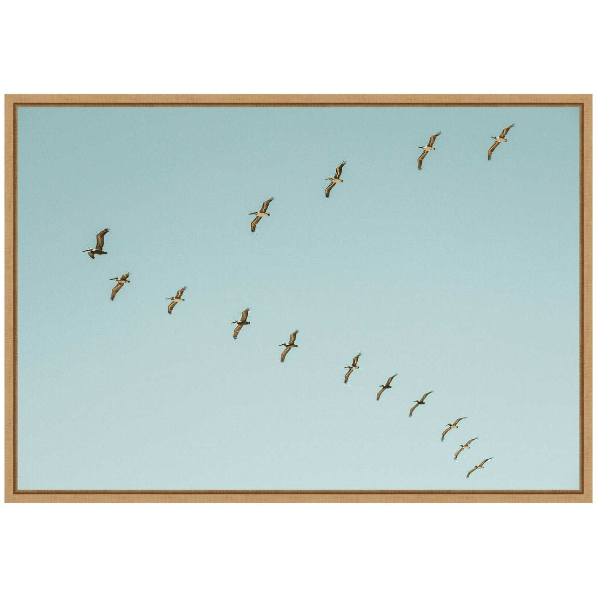 A framed canvas showing a diagonal flock of pelicans flying against a clear pale blue sky, with warm tones highlighting their wings and bodies.