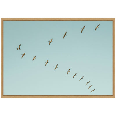 Sylvie Pelican Row #1 Framed Canvas by Alicia Bock