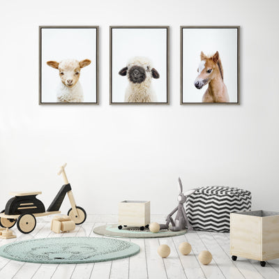 Sylvie Animal Studio Black Nosed Sheep Framed Canvas by Amy Peterson Art Studio