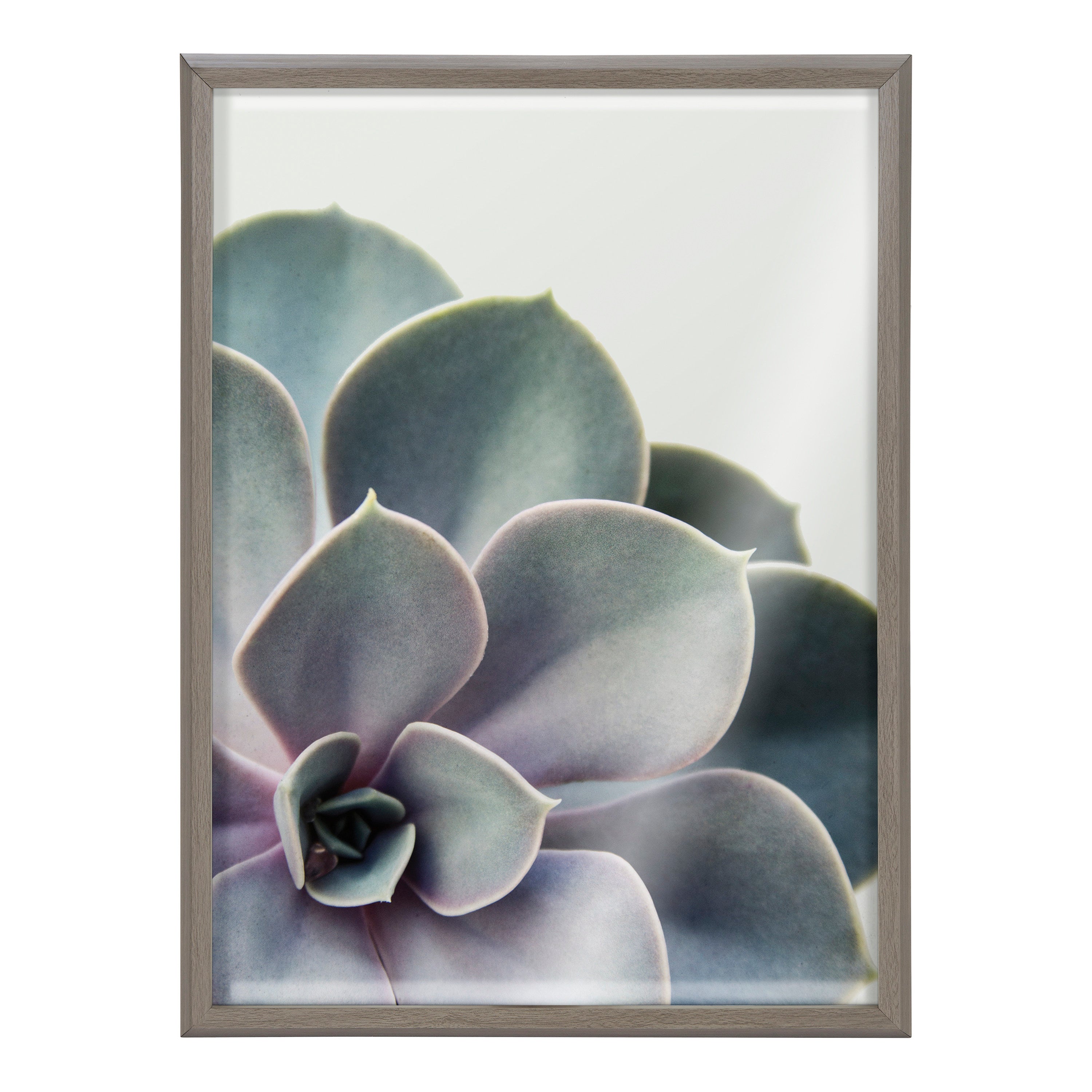 Blake Succulent 5 Framed Printed Glass by kateandlaurel - product image 2 for Resin Society
