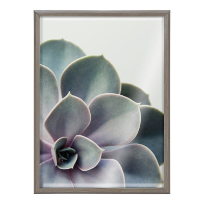 Blake Succulent 5 Framed Printed Glass by kateandlaurel - product image 2 for Resin Society