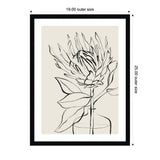 Black line sketch of a protea flower with leaves in a simple glass vase, framed in black with white mat, on beige background with measurement labels.