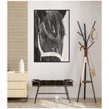 Black and white framed close-up portrait of a horse with a white halter, hanging above a black metal bench with a padded seat next to a modern coat rack with hats and umbrella.