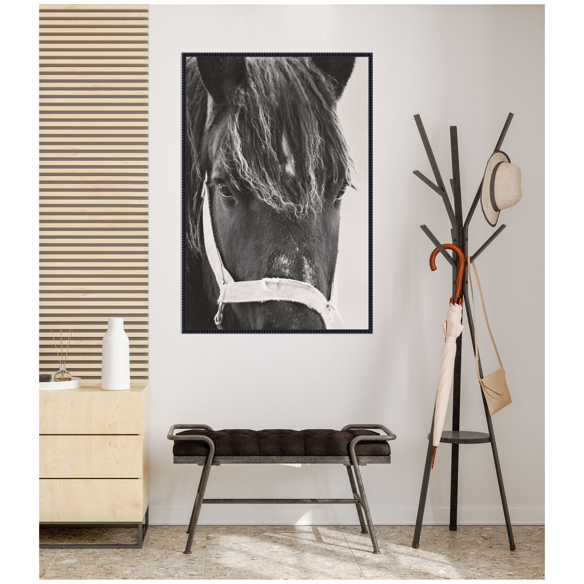 Black Horse by Emiko and Mark Franzen F2 Images Framed Canvas Wall Art Print