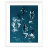Aerial view of five humpback whales swimming through deep blue ocean water, leaving white frothy trails on the surface.