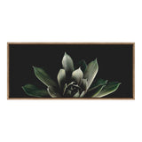 Sylvie Salutation framed canvas art showing botanical imagery with a floating frame in either gold or natural finish.
