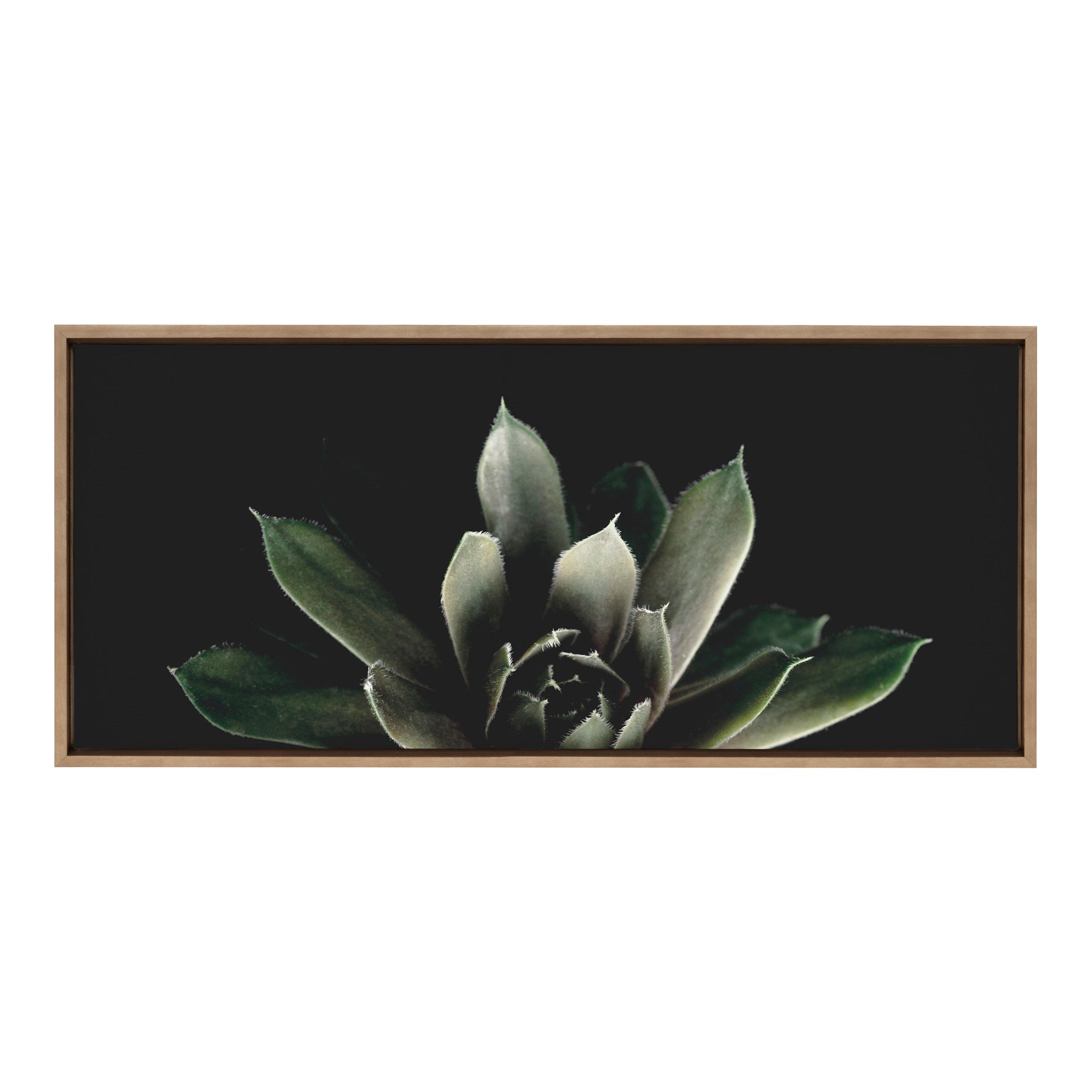 Sylvie Salutation framed canvas art showing botanical imagery with a floating frame in either gold or natural finish.
