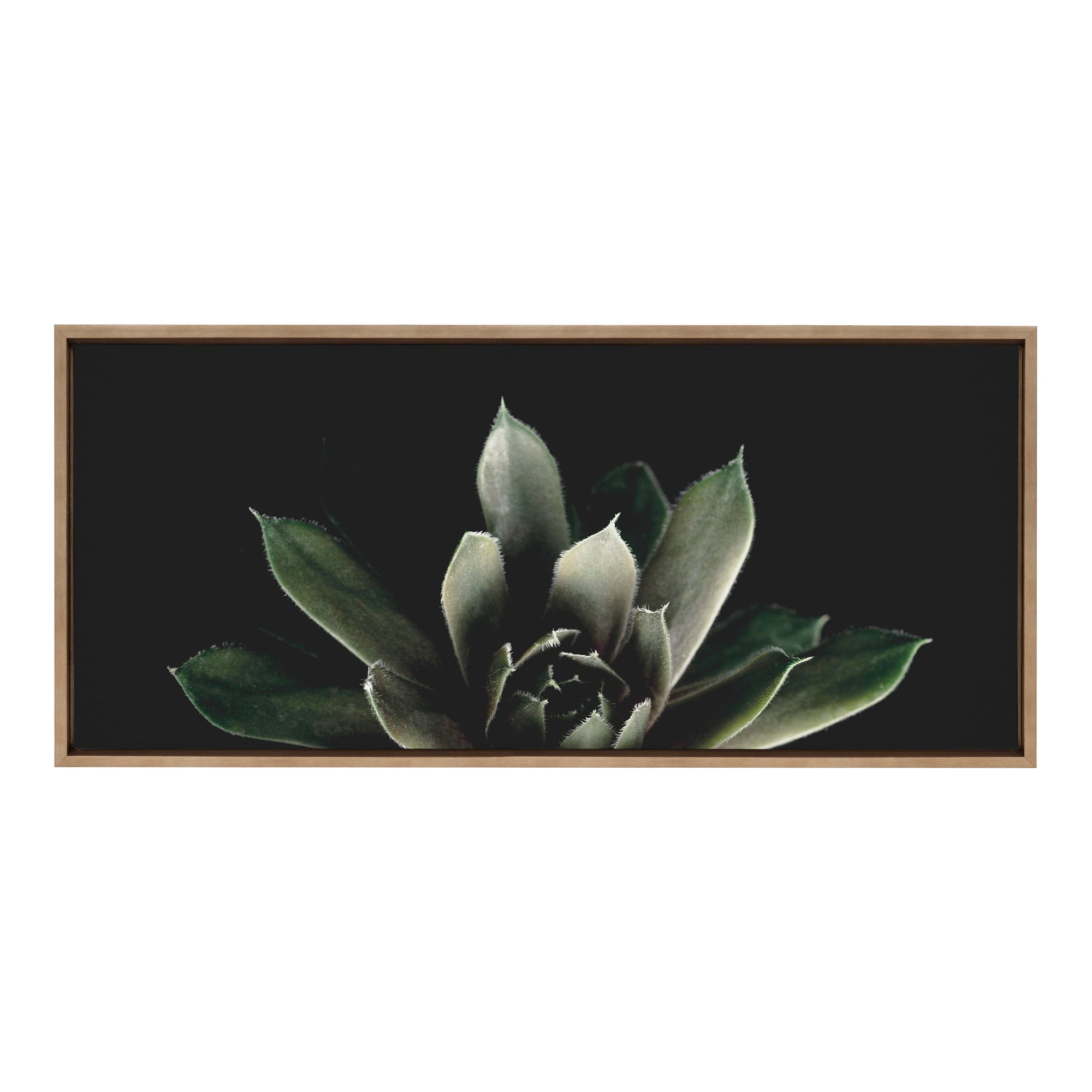 Sylvie Salutation Framed Canvas by Emiko and Mark Franzen of F2Images