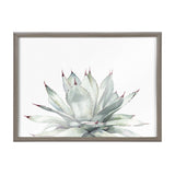 Blake Parrys Agave Framed Printed Glass by kateandlaurel - product image 2 for Resin Society