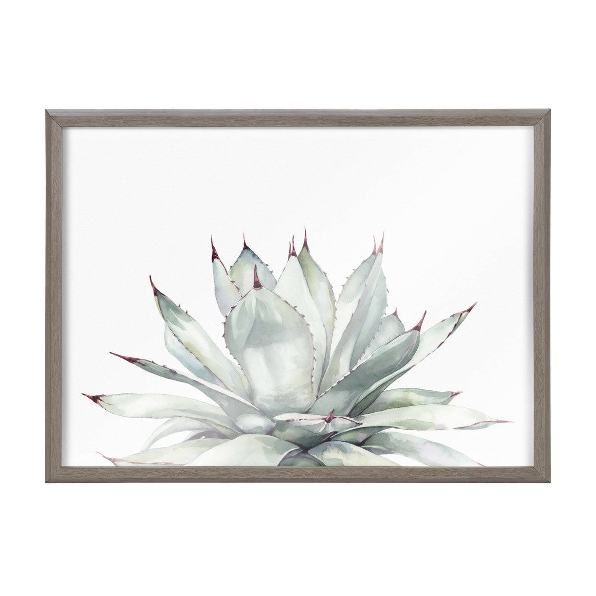 Blake Parrys Agave Framed Printed Glass by kateandlaurel - product image 2 for Resin Society