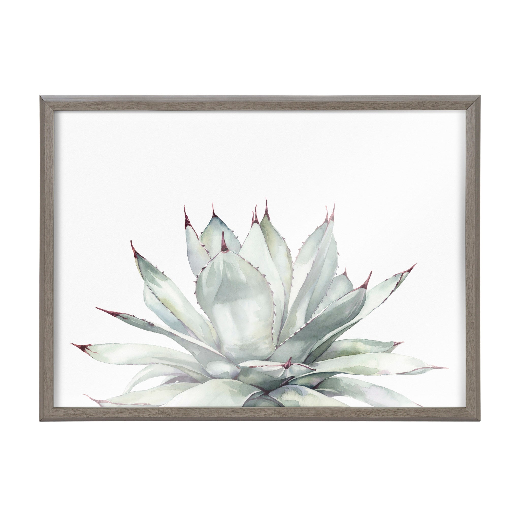 Blake Parrys Agave Framed Printed Glass by kateandlaurel - product image 2 for Resin Society