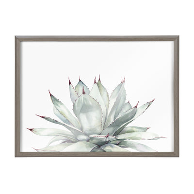 Blake Parrys Agave Framed Printed Glass by kateandlaurel - product image 2 for Resin Society
