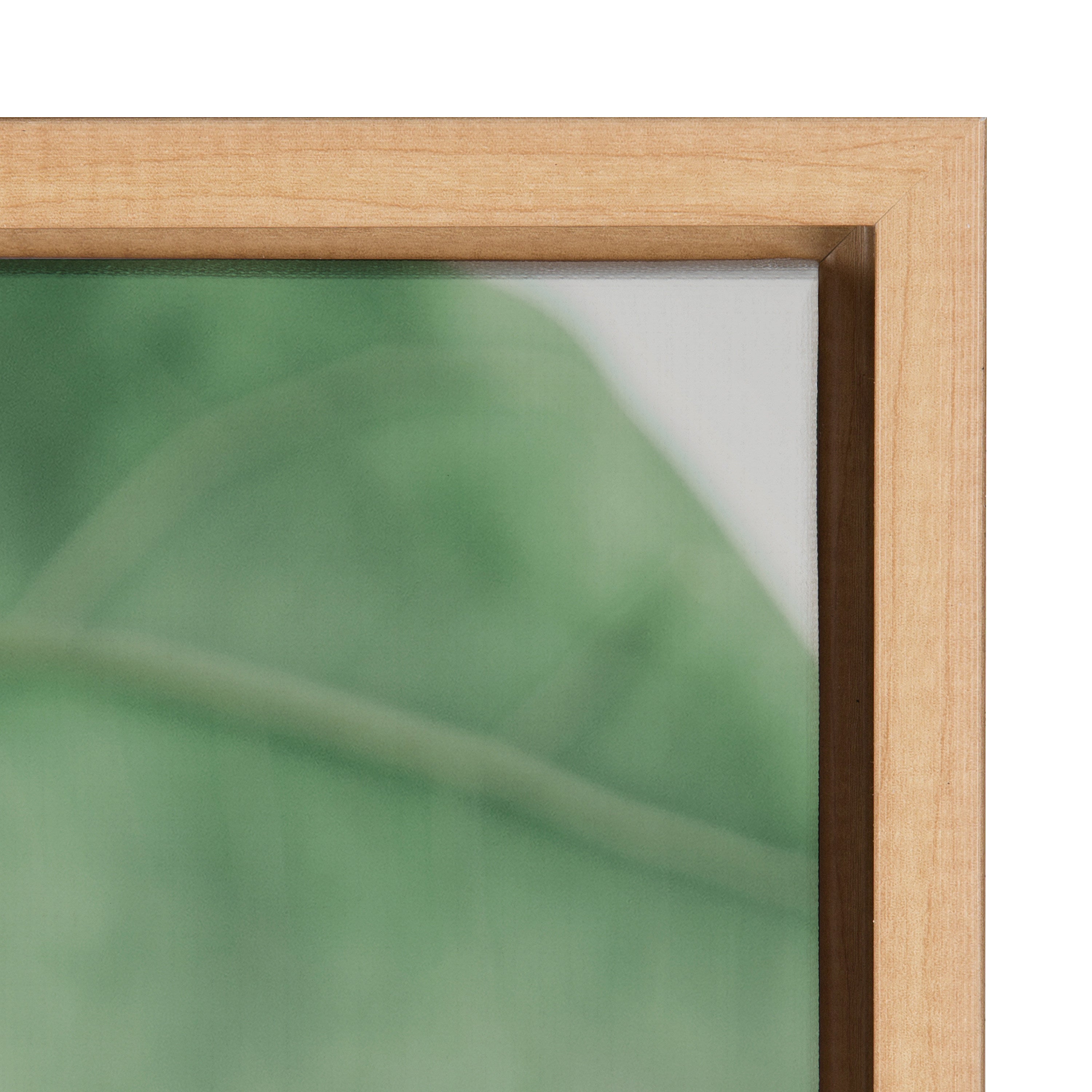 Sylvie Plant Study 6 Framed Canvas by kateandlaurel - product image 19 for Resin Society