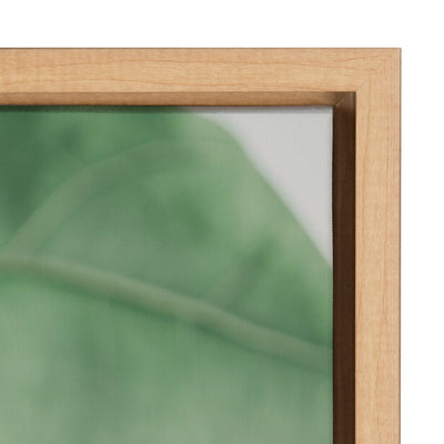 Sylvie Plant Study 6 Framed Canvas by kateandlaurel - product image 19 for Resin Society