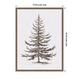Detailed vintage-style illustration of an evergreen fir tree with fine branches, framed in a simple brown wooden frame, set against a white canvas background.