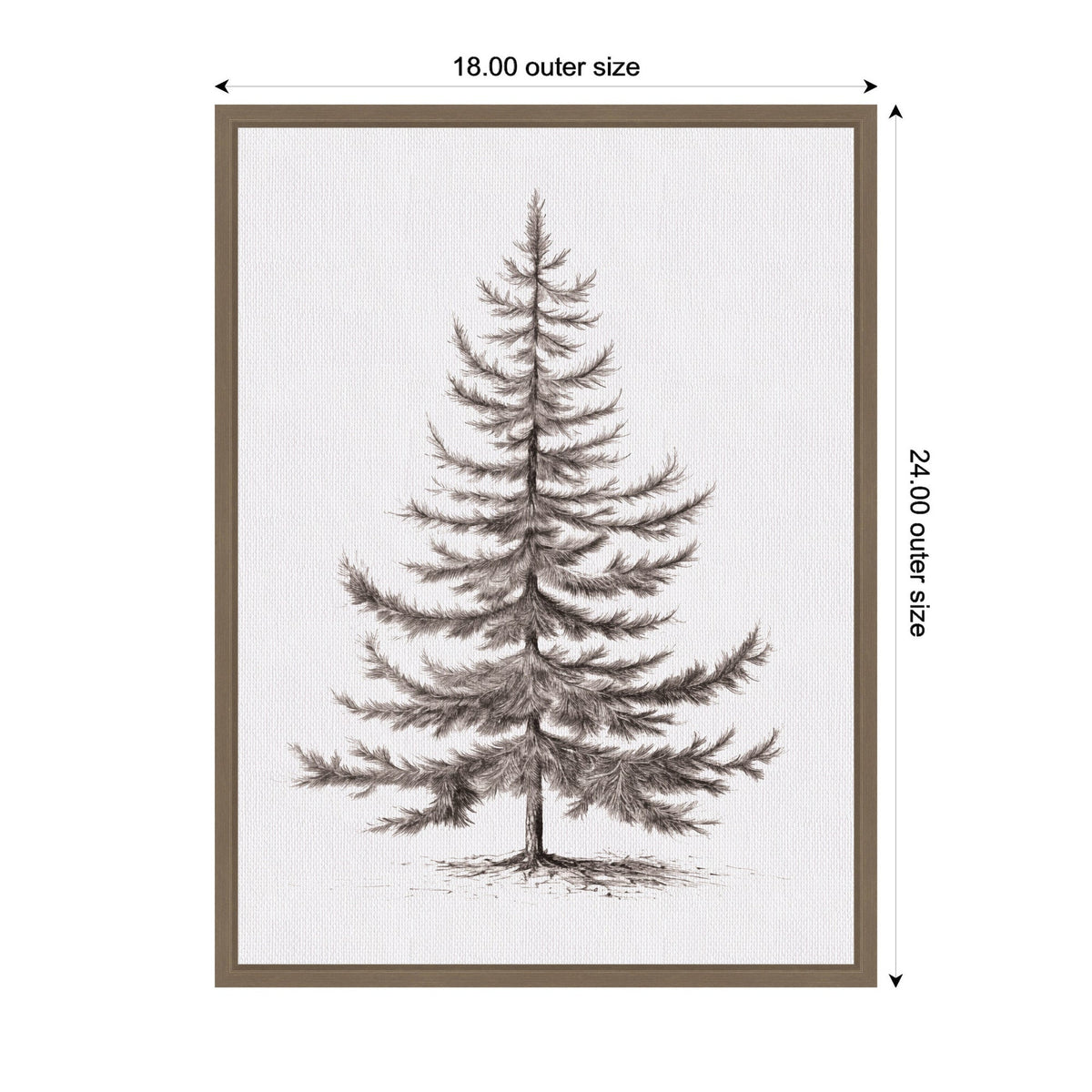 Detailed vintage-style illustration of an evergreen fir tree with fine branches, framed in a simple brown wooden frame, set against a white canvas background.