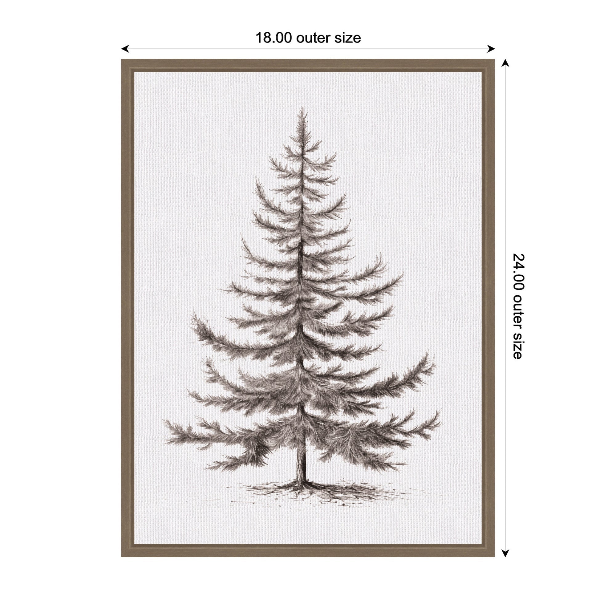 Sylvie Framed Canvas Vintage Evergreen Fir Tree Illustration II by The Creative Bunch Studio
