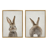 Framed art set showing a brown rabbit's front portrait with upright ears beside its rear view featuring a fluffy tail, both against light beige textured backgrounds.