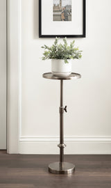 Tall adjustable polished metal plant stand with round tray top holding a white pot with green foliage against a cream wall and dark wood floor.