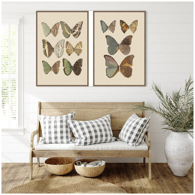 Exotische schmetterlinge Otto Staudinger 2 Piece Framed Canvas Wall Art Set by Nostalgia Prints