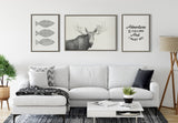 Sylvie Moose 2 crop BW Framed Canvas by kateandlaurel - product image 5 for Resin Society
