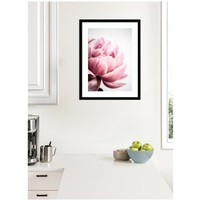 Pink Peony No1 by Mareike Bohmer Framed Wall Art Print