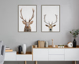 Two framed canvases of deer heads with antlers on a light gray wall above a white and wood console holding books and vases, beside a gray sofa and plant.