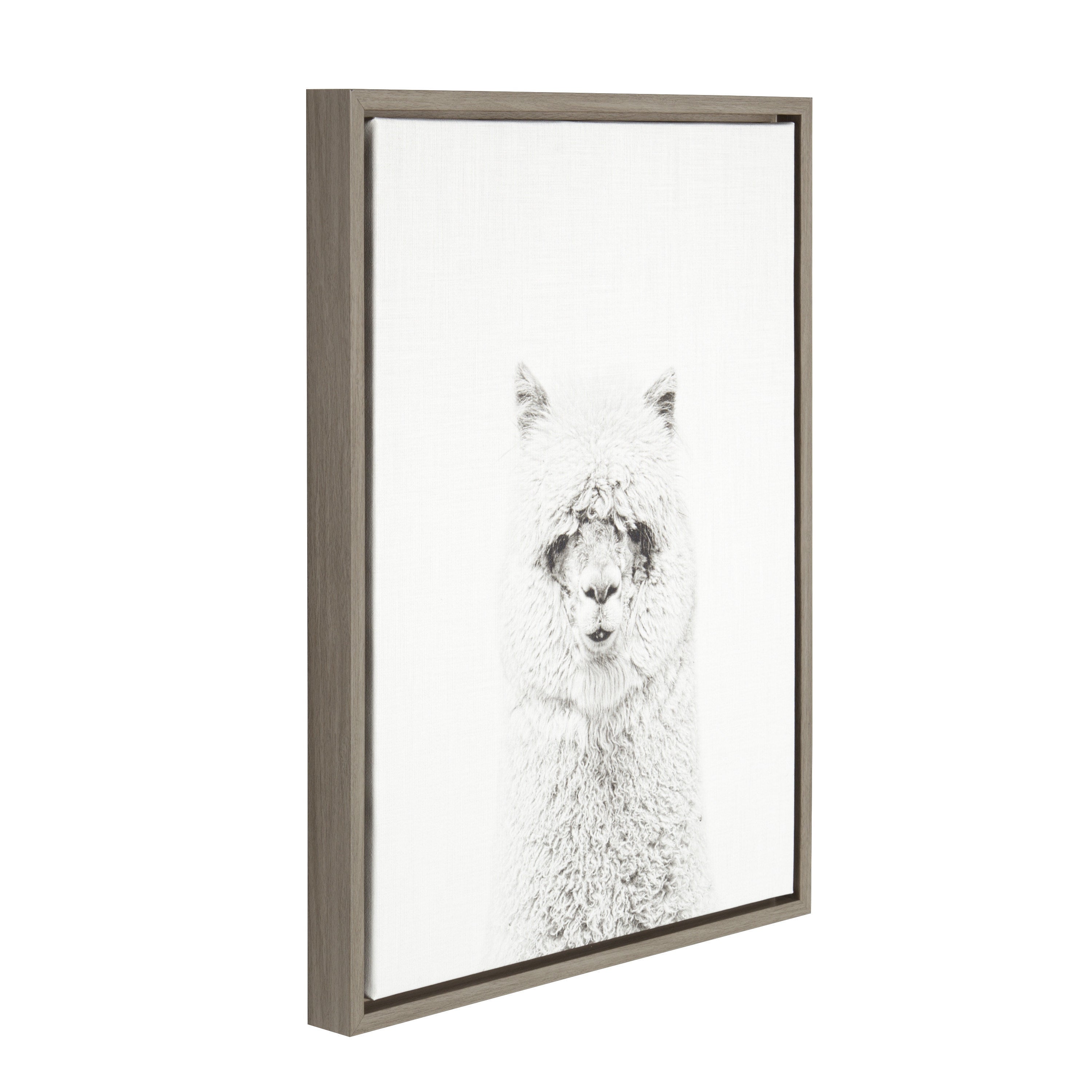 Sylvie Hairy Alpaca Framed Canvas by Simon Te of Tai Prints