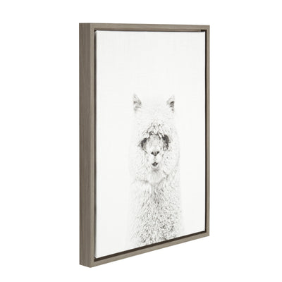 Sylvie Hairy Alpaca Framed Canvas by Simon Te of Tai Prints
