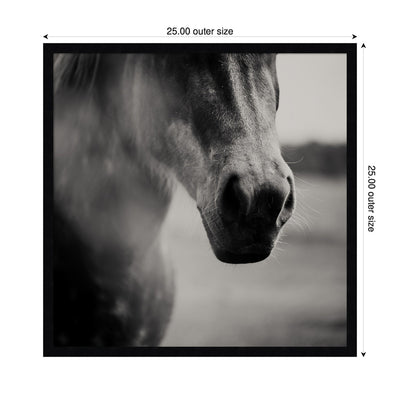 Horse Like Velvet by Laura Evans Framed Wall Art Print