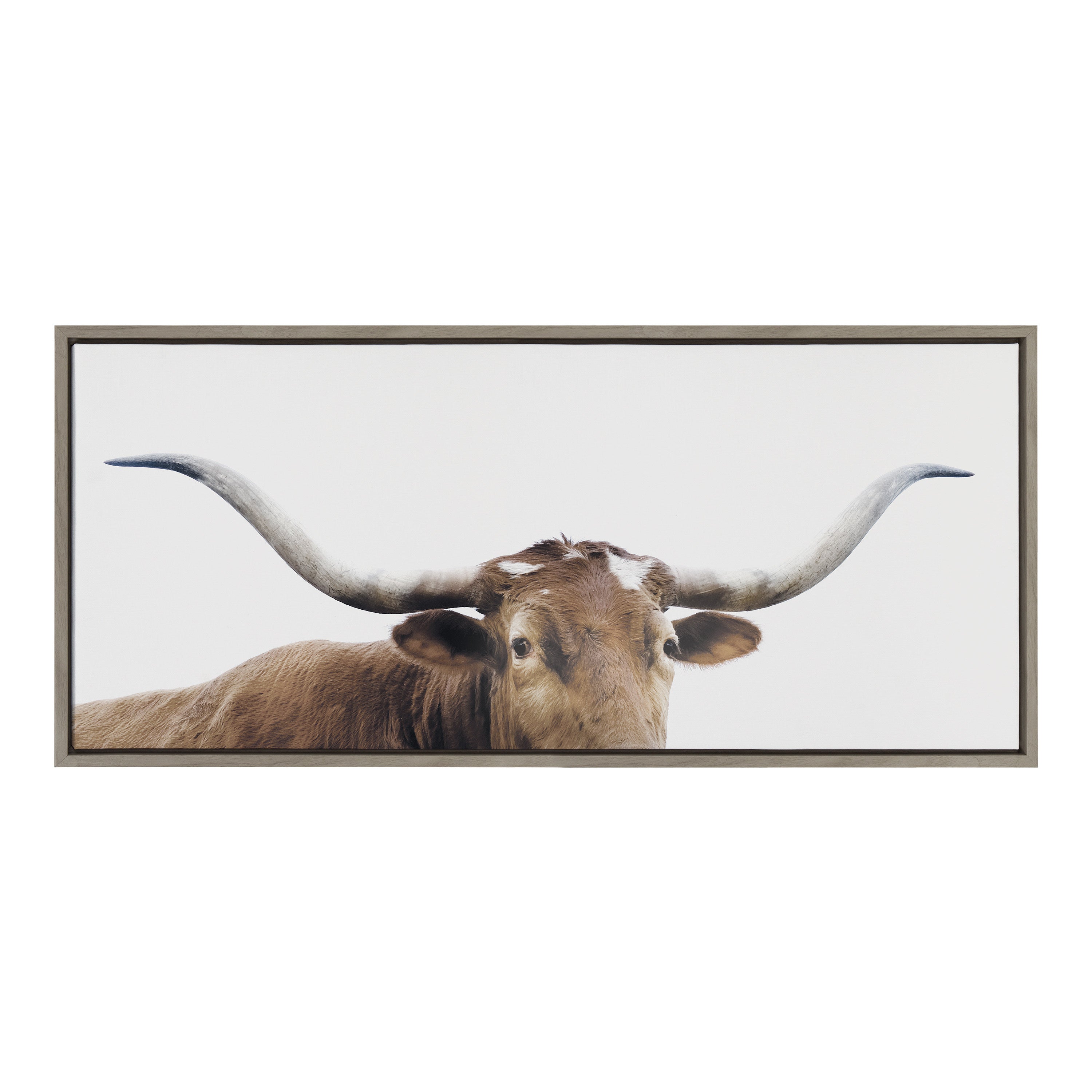 Sylvie Texas Longhorn Framed Canvas by kateandlaurel - product image 2 for Resin Society