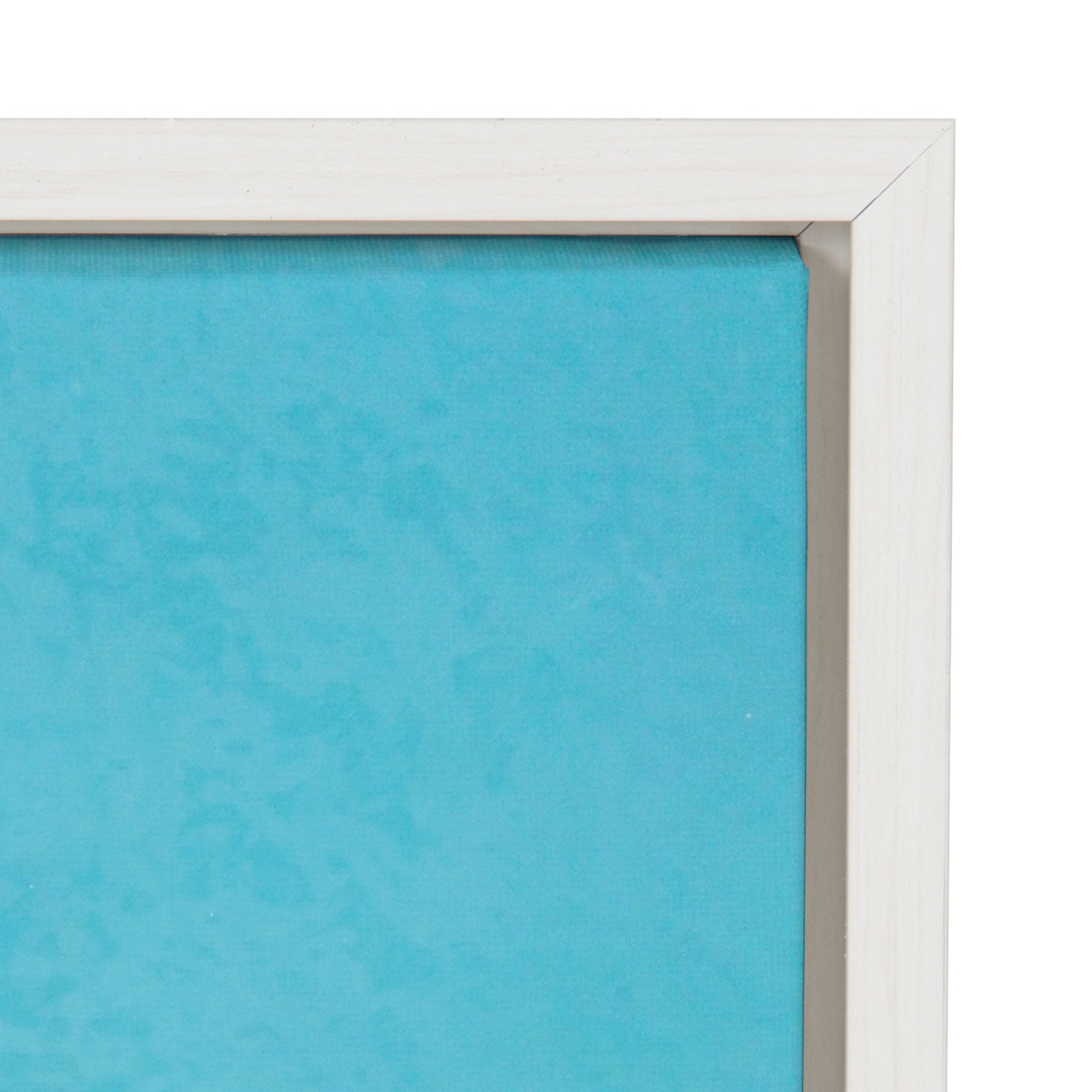 Sylvie Postiano 7 Framed Canvas by Rachel Bolgov by kateandlaurel - product image 3 for Resin Society