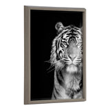 Blake Tiger Minimalist Animal printed on solid surface framed wall art with lightweight polystyrene frame