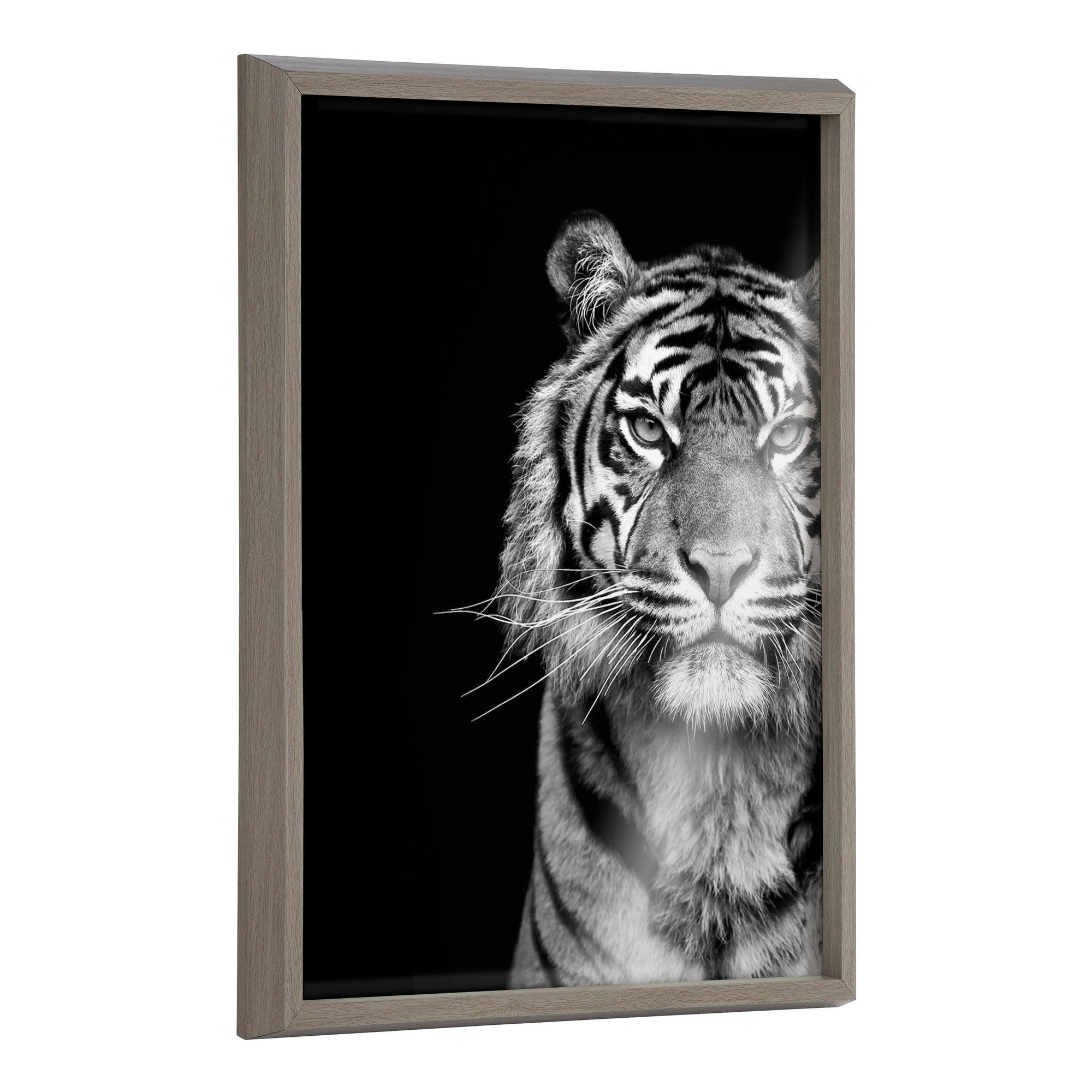 Blake Tiger Minimalist Animal printed on solid surface framed wall art with lightweight polystyrene frame