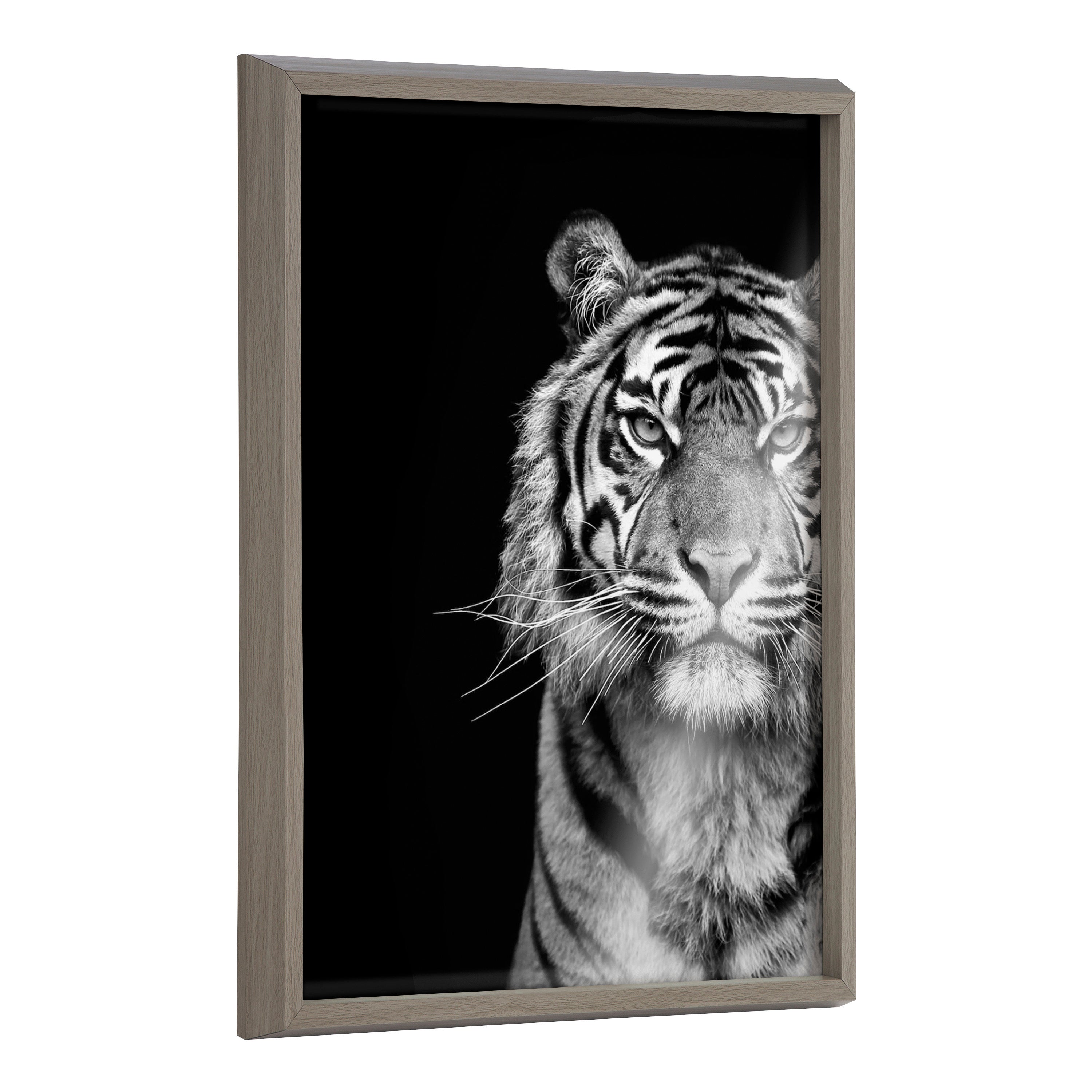 Blake Tiger Minimalist Animal printed on solid surface framed wall art with lightweight polystyrene frame