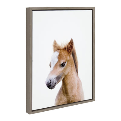 Baby horse portrait canvas art in a modern frame