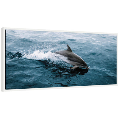 Sylvie Dolphin Skipping along in the Ocean Framed Canvas by Michael Schauer