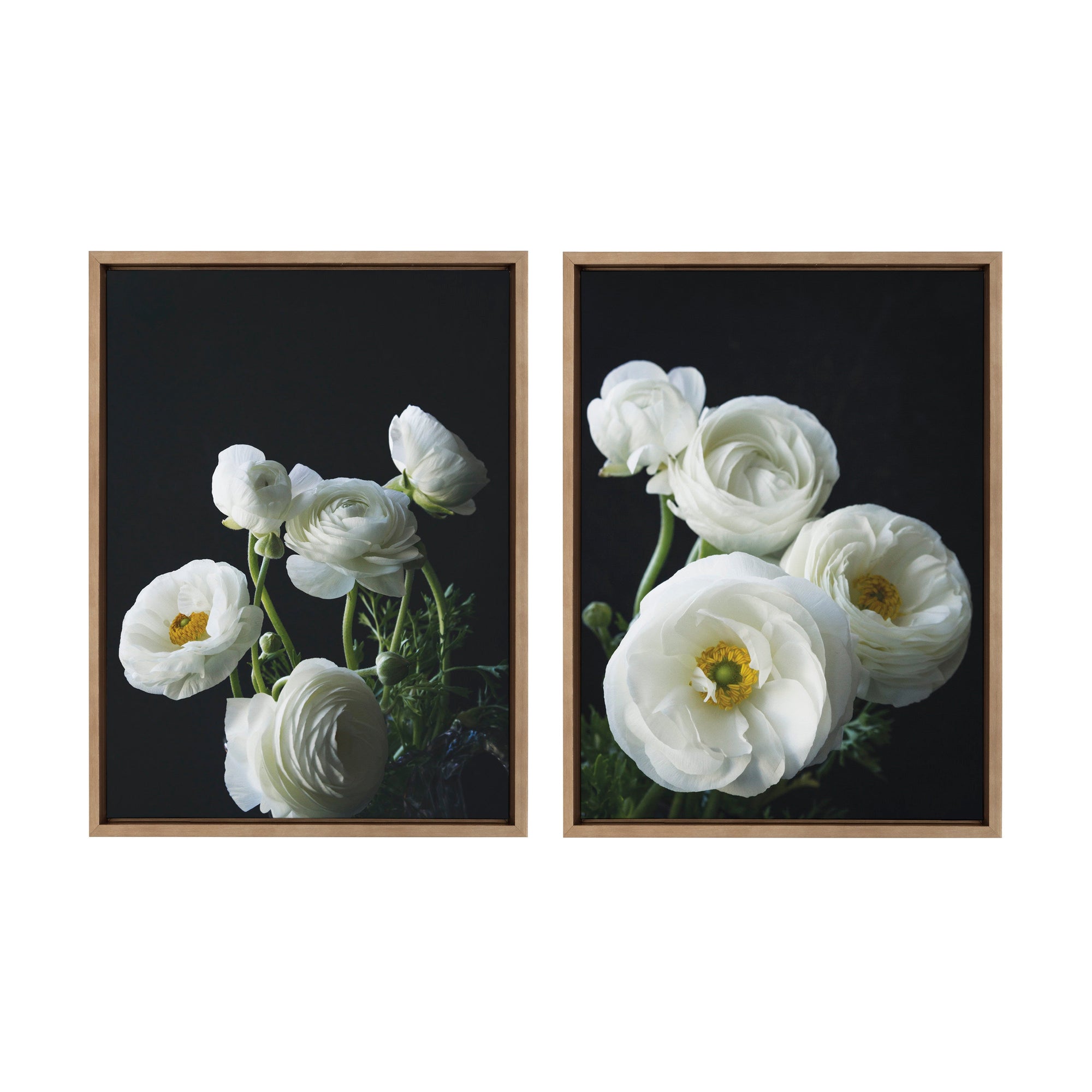 Sylvie White Ranunculus Framed Canvas Set by kateandlaurel - product image 9 for Resin Society