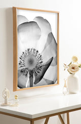 Framed black-and-white x-ray style floral print of a poppy with translucent petals and detailed stamen, hanging on a white wall above a minimalist white table with vases and decor.