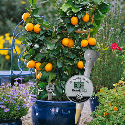 Blumat Digital Moisture Meter Kits by Sustainable Village - product image 11 for Resin Society