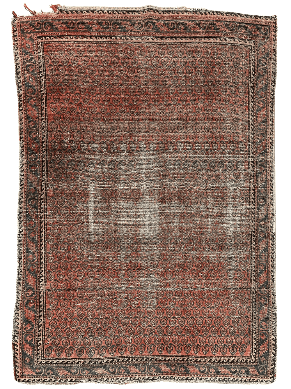 Distressed Persian Paisley Rug showing intricate paisley patterns in faded natural colors