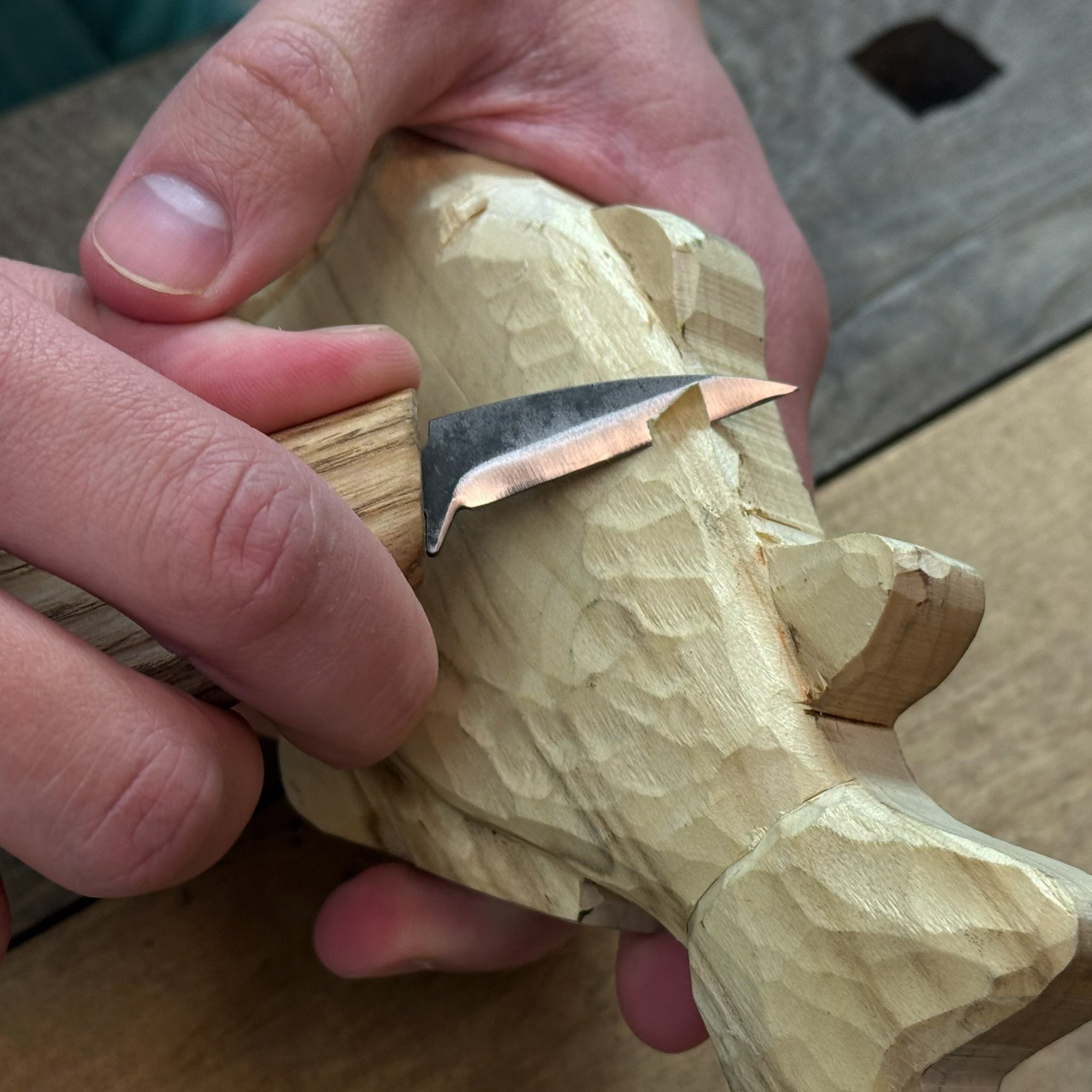 DIY Fish Wood Carving and Painting Kit with tools, pre-cut wood fish, paints, and tutorial
