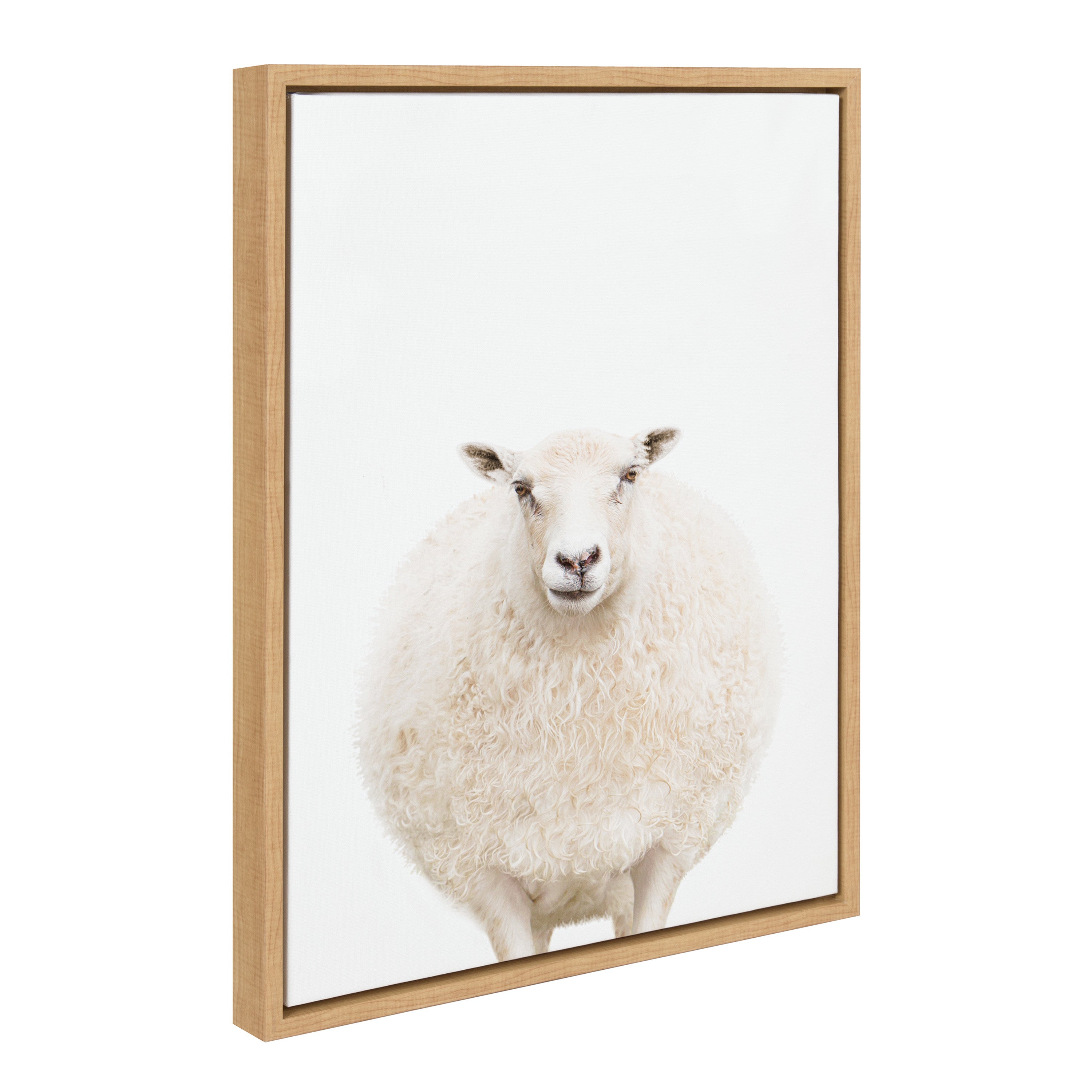 Sylvie Round Sheep Portrait framed canvas showing a natural toned floating frame and sheep image
