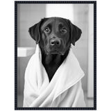 Black Labrador dog wrapped in a white towel sitting indoors with a soft-focused tiled wall in the background, shown in black and white.