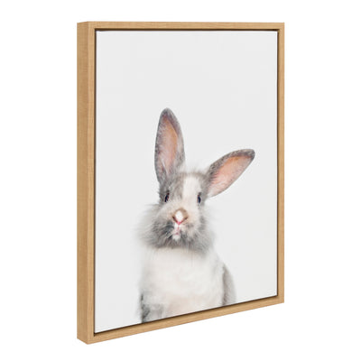 Sylvie Animal Studio Cute Male Rabbit Framed Canvas by kateandlaurel - product image 10 for Resin Society