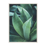 Sylvie Agave II Framed Canvas by kateandlaurel - main product image for Resin Society