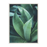 Sylvie Agave II Framed Canvas by kateandlaurel - product image 8 for Resin Society